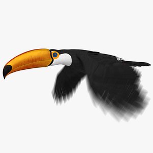 Toco Toucan (Animated)