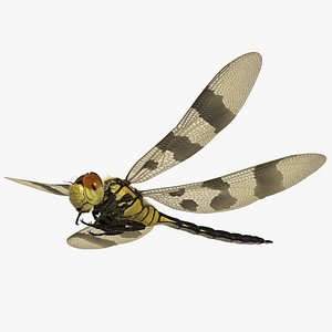 Dragonfly Halloween Pennant