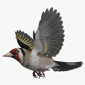 European Goldfinch Rigged