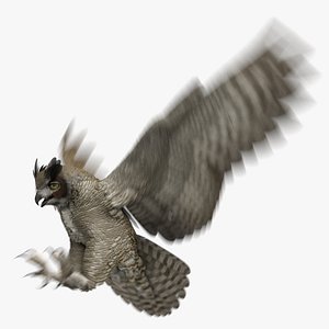 Great Horned Owl Animated