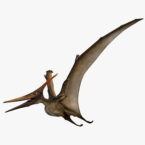 Pteranodon Longiceps Rigged