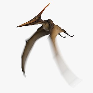 Pteranodon Longiceps Animated