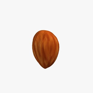 Almond Kernel