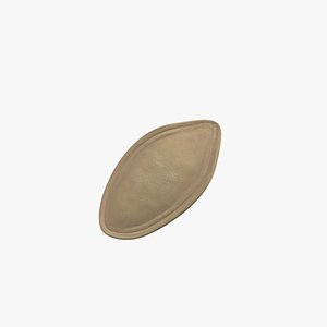 Pumpkin seed