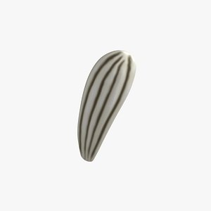 Sunflower seed