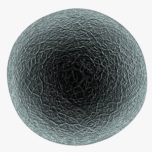 Human Egg Cell Microscope