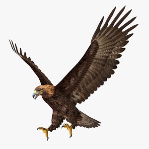 Golden Eagle