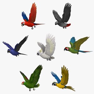 Parrots Collection