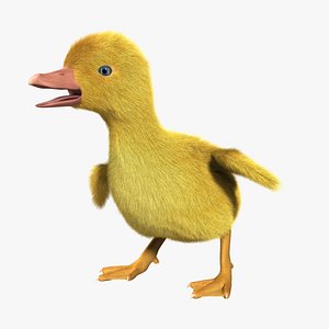 Duckling