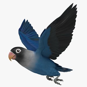 Blue Masked Lovebird